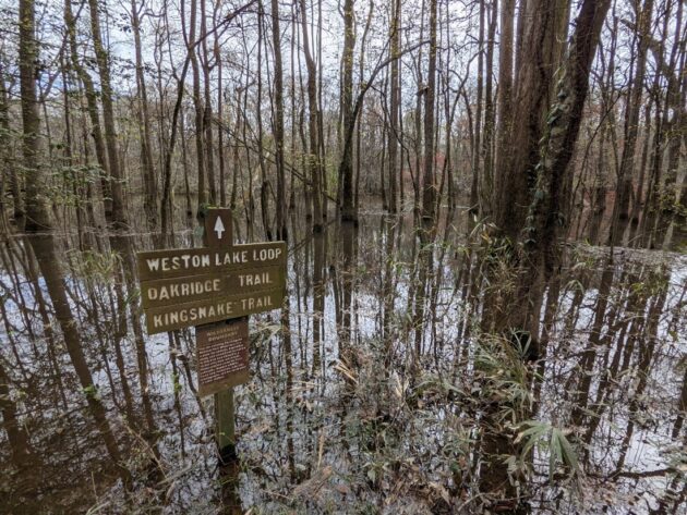 Weston Lake Loop Trail