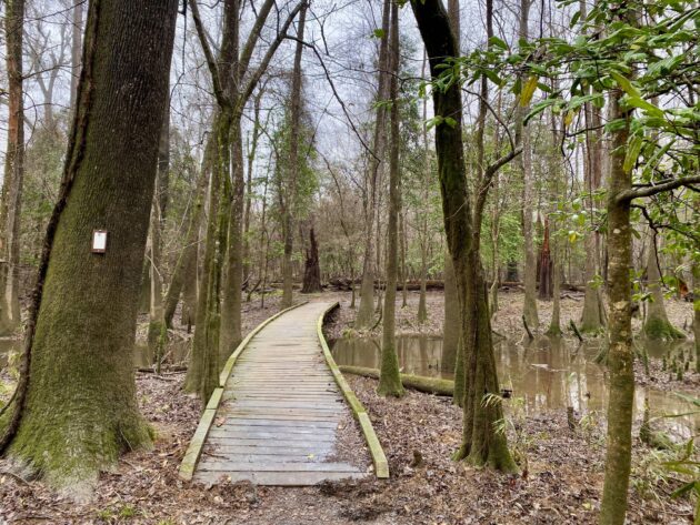 Weston Lake Loop Trail