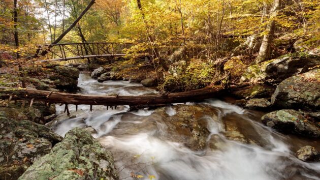 Whiteoak Canyon/Cedar Run Loop
