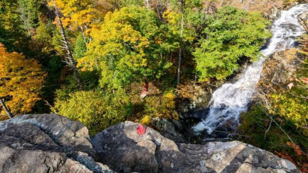 Whiteoak Canyon/Cedar Run Loop