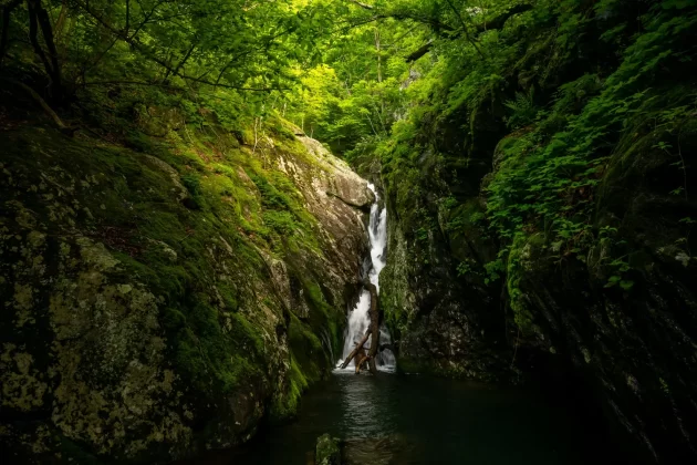 Whiteoak Canyon/Cedar Run Loop