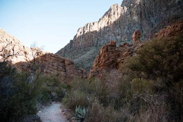 Window Trail