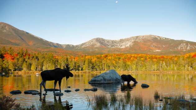 Baxter State Park