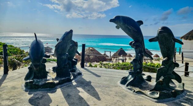 Dolphins Beach