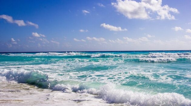 Dolphins Beach