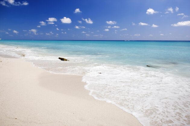 Dolphins Beach