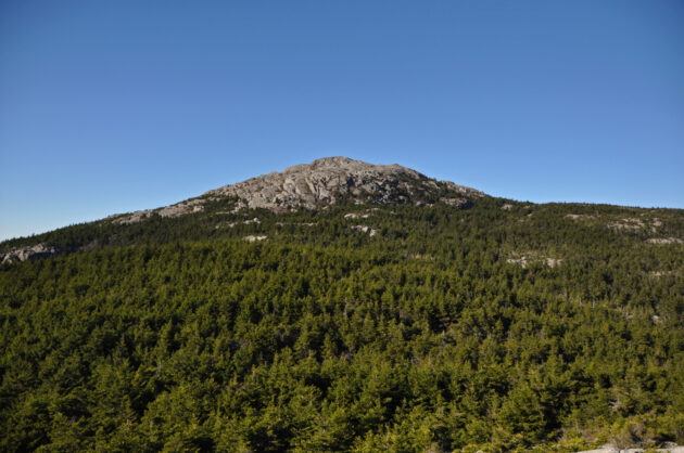 Monadnock State Park
