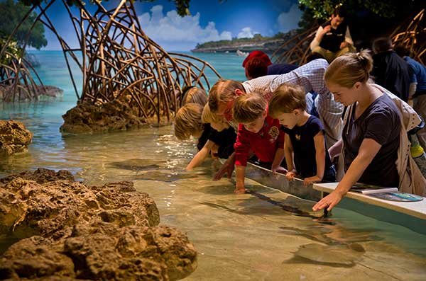 New England Aquarium