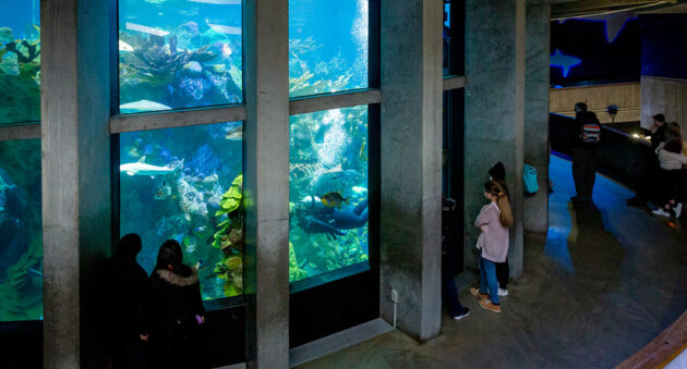 New England Aquarium