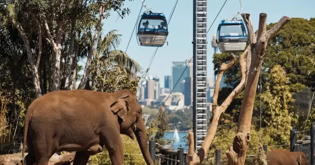 Taronga Zoo Sydney