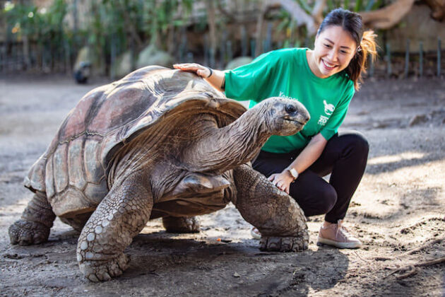Taronga Zoo Sydney