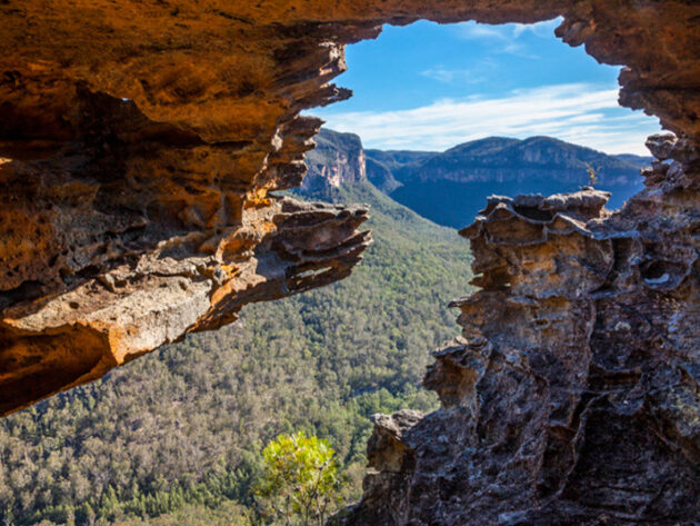 Wollemi National Park