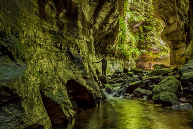Wollemi National Park