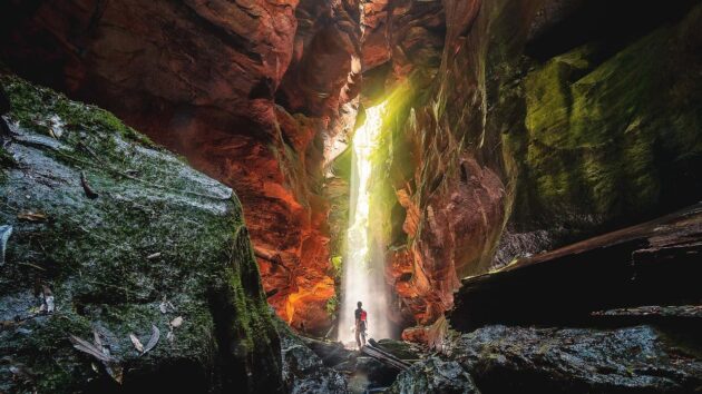 Wollemi National Park