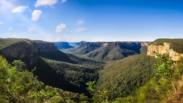 Wollemi National Park