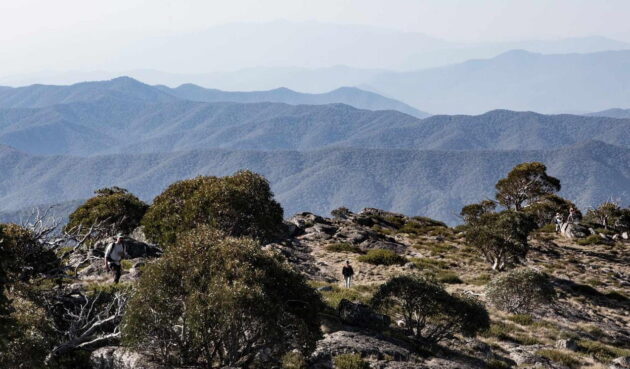 Alpine National Park