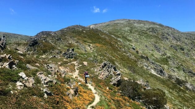 Alpine National Park