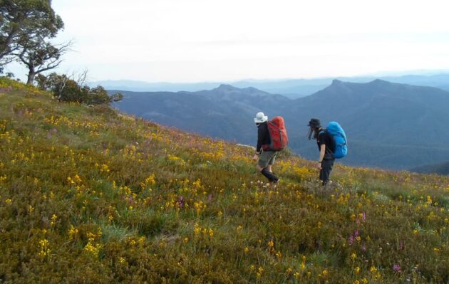 Alpine National Park