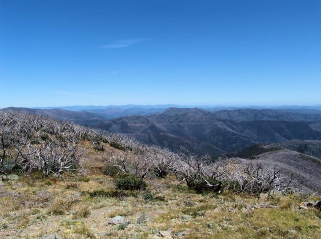 Alpine National Park