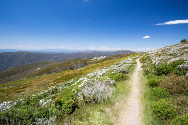Alpine National Park
