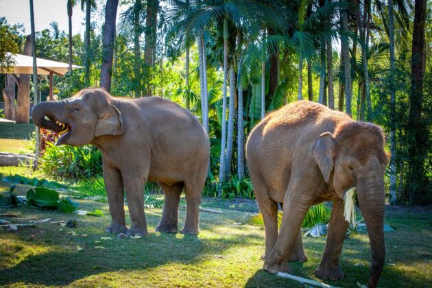 Australia Zoo