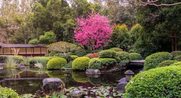 Brisbane Botanic Gardens Mt Coot-tha