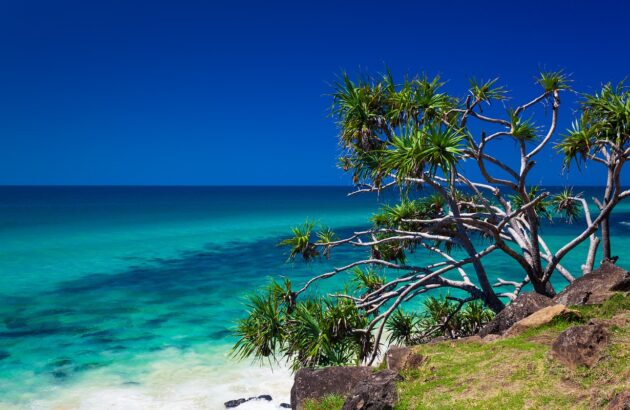Burleigh Heads National Park