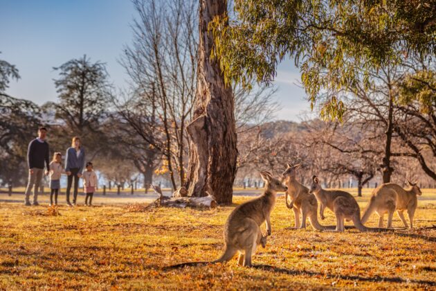 Canberra
