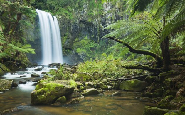 Daintree National Park