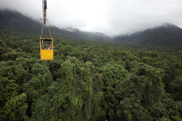 Daintree National Park
