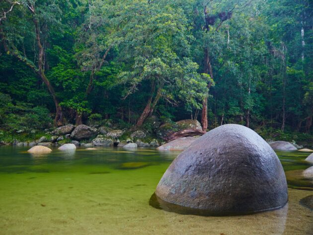 Daintree National Park