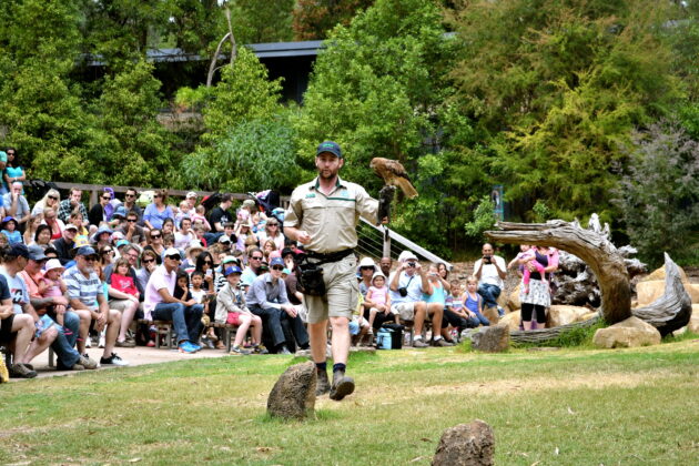Healesville Sanctuary