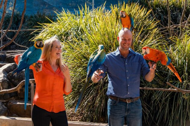 Maleny Botanic Gardens & Bird World