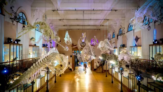 Musée océanographique de Monaco