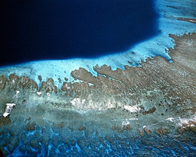 Namena Marine Reserve