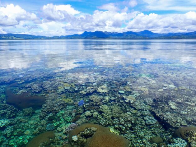 Natewa Bay
