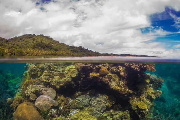 Natewa Bay