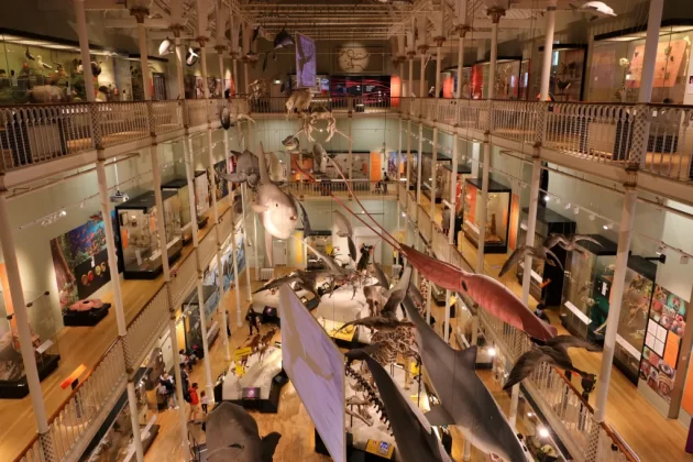 National Museum of Scotland