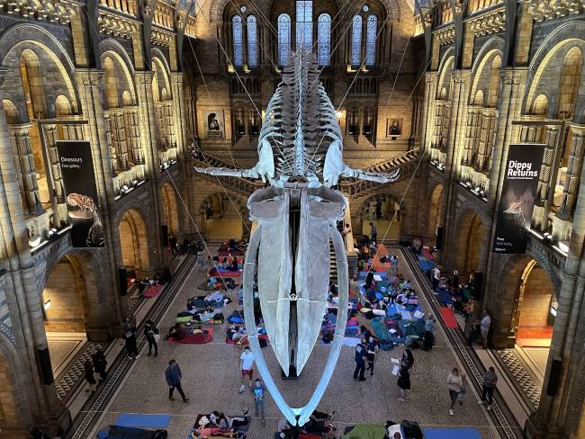 Natural History Museum