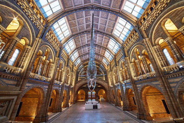 Natural History Museum (London)