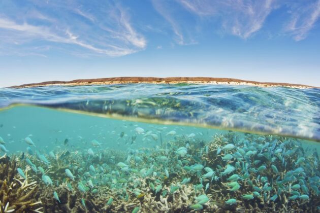 Ningaloo Reef