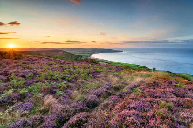 North York Moors National Park