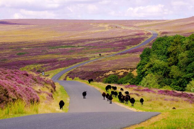 North York Moors National Park