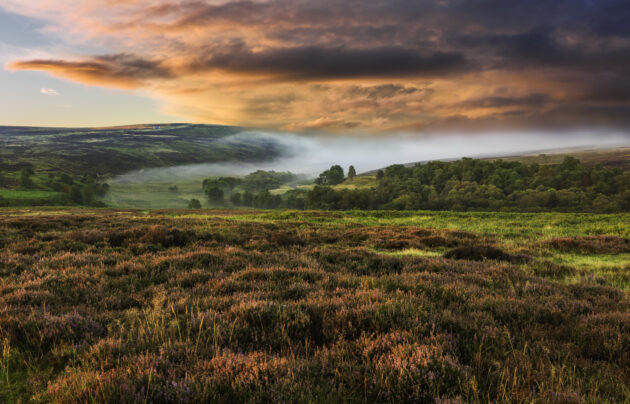 North York Moors National Park
