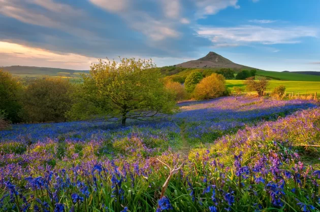 North York Moors National Park