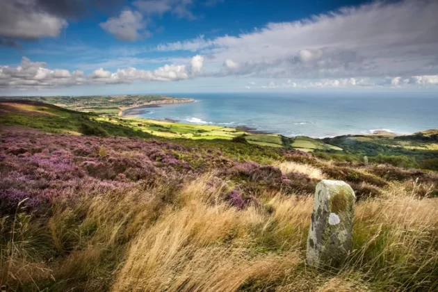 North York Moors National Park