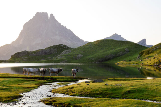 Parc national des Pyrénées