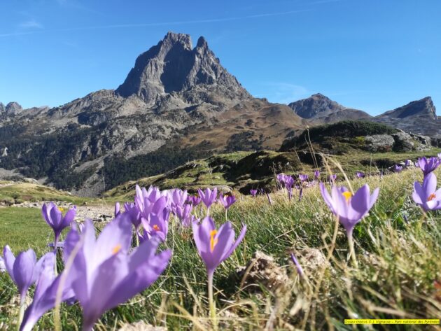 Parc national des Pyrénées