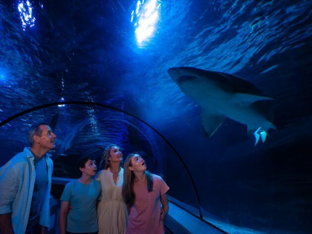 SEA LIFE Sunshine Coast Aquarium