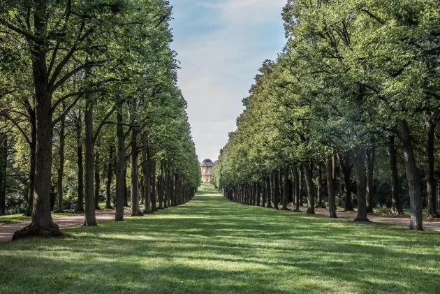 Sanssouci Park